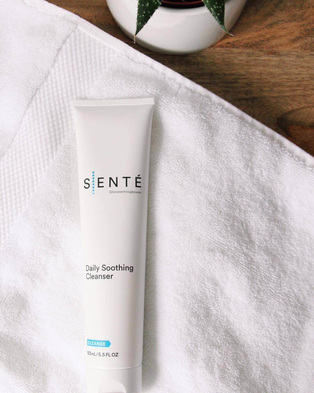 SENTÉ || SENTÉ Daily Soothing Cleanser flat lay